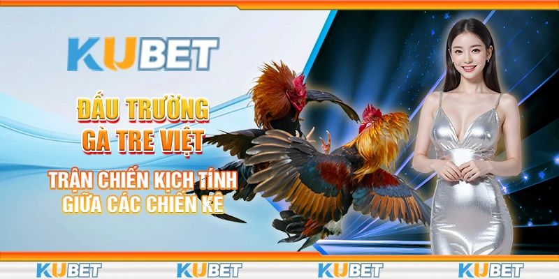 Đấu trường gà tre Việt